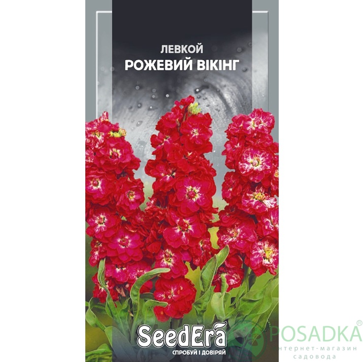 картинка Семена Левкой Розовый Викинг 0,2 г, Seedera 