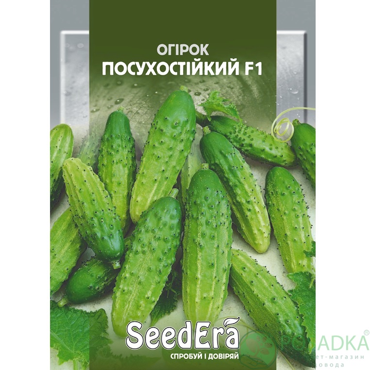 картинка Семена Огурец Засухоустойчив F1, 0,5 г, SeedEra 