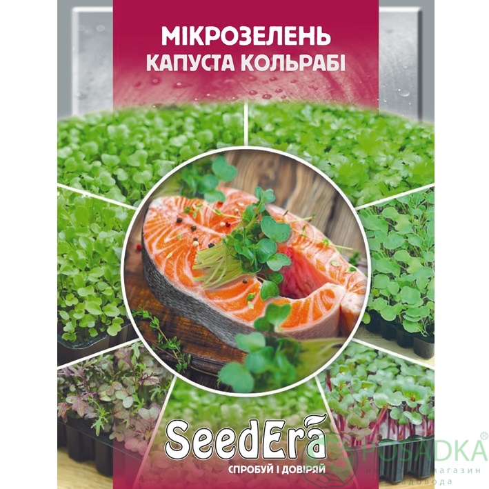 картинка Семена Микрозелень Микрозелень Кольраби 10гр, SeedEra 