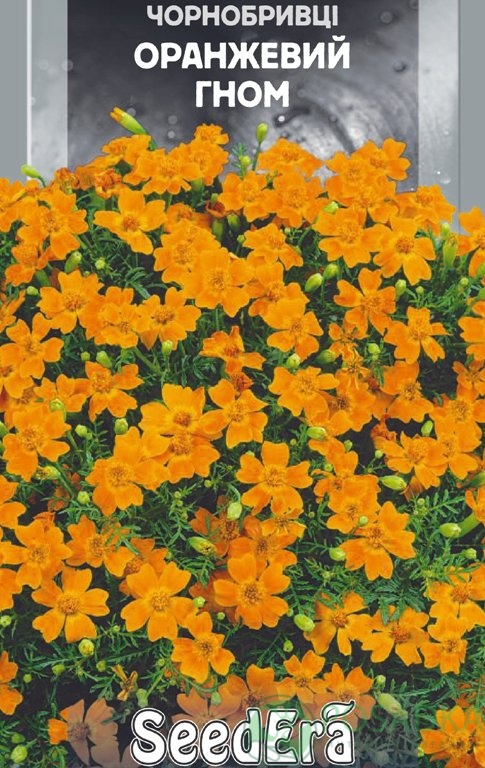 картинка Семена Бархатцы Оранжевый Гном семена 0.1гр SeedEra 