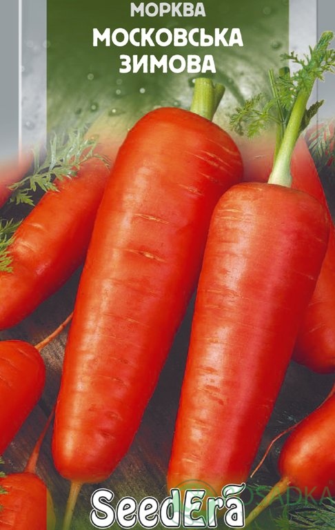 картинка Семена Морковь Московская зимняя 20гр, SeedEra 