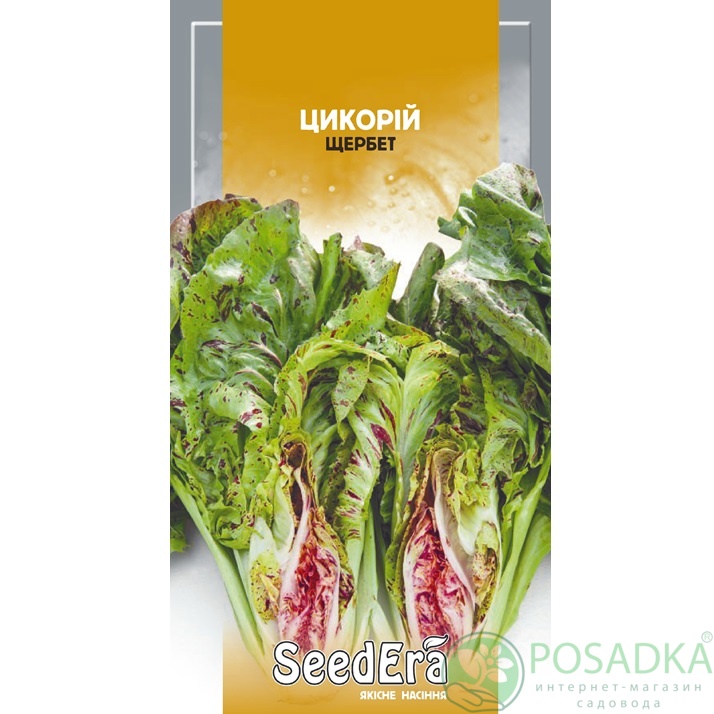 картинка Семена Цикорий Щербет (Листовой) 1 г, Seedera картинка Семена Цикорий Щербет (Листовой) 1 г, Seedera