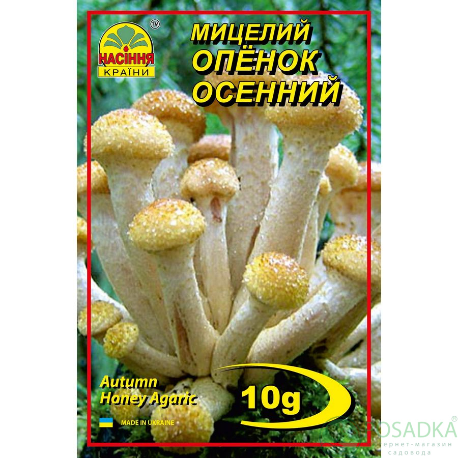 картинка Мицелий зерновой гриб Опёнок осенний 10 г 