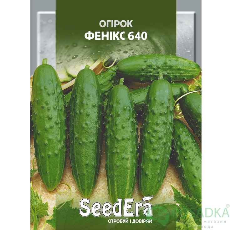 картинка Семена Огурец Феникс 640, 10 г, SeedEra 