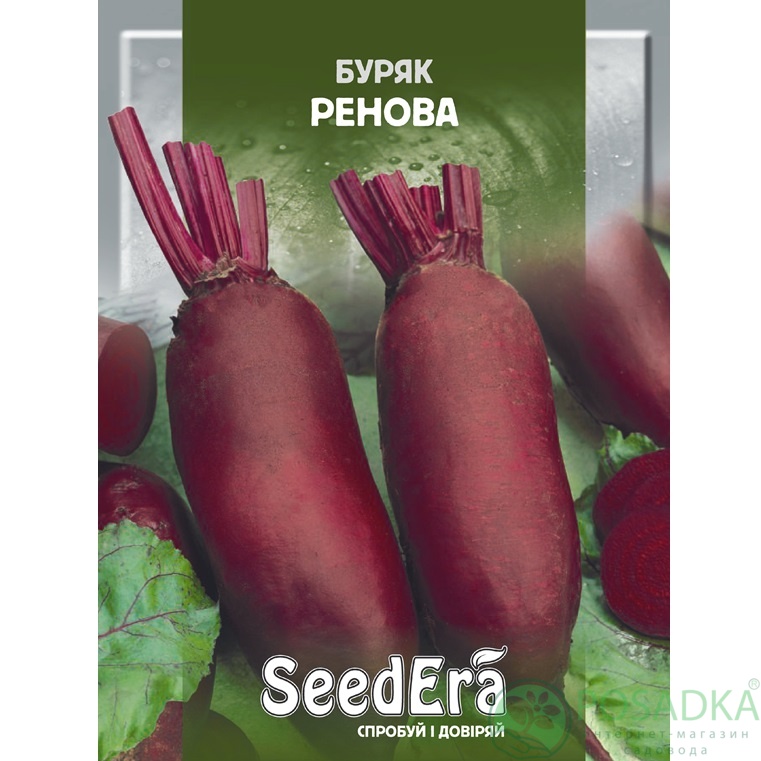 картинка Семена Свекла столовая Ренова 20 г, SeedEra картинка Семена Свекла столовая Ренова 20 г, SeedEra