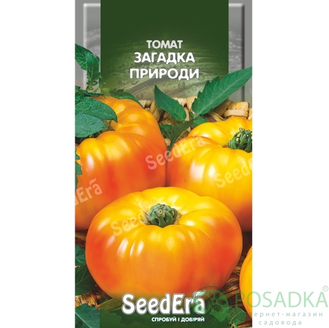картинка Семена Томат Загадка природы 0,1 г, Seedera 