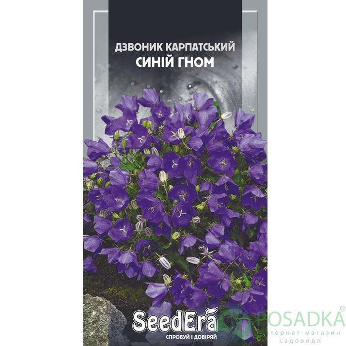 картинка Семена Колокольчик Карпатский Синий Гном 0,1 г, Seedera 