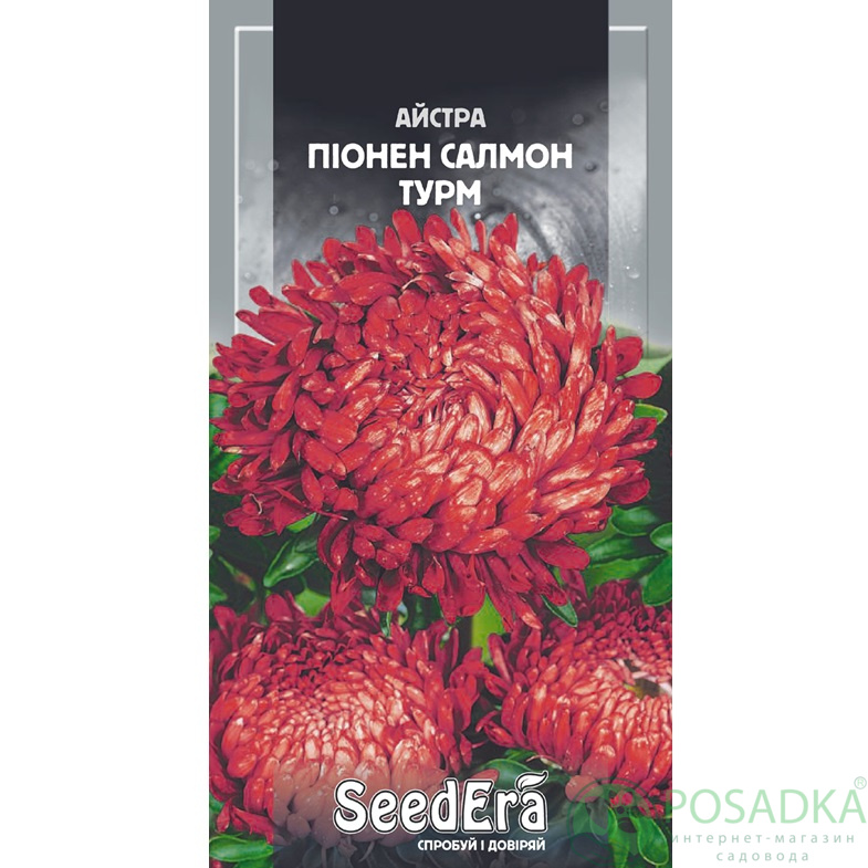 картинка Семена астра Высокорослая Пионен Салмон Турм 0,25г, SeedEra картинка Семена астра Высокорослая Пионен Салмон Турм 0,25г, SeedEra