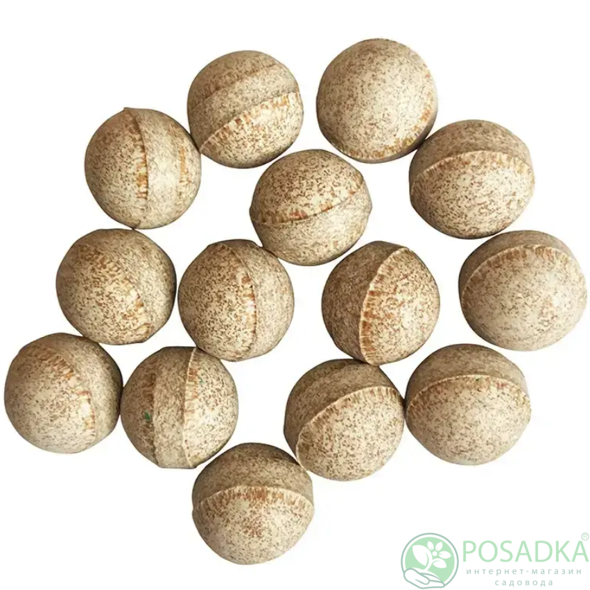 картинка Инициатор Bayer 