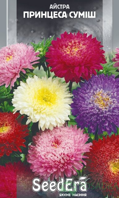 картинка Семена Астра Высокорослая Принцесса Смесь 0.25 г, SeedEra 