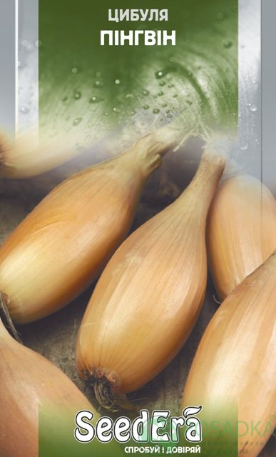 картинка Семена Лук репчатый Пингвин, 2гр, SeedEra 