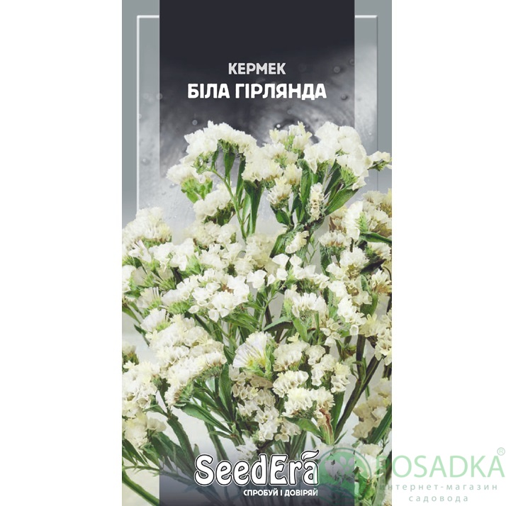 картинка Семена кермек Выемчатый Белая Гирлянда 0,2г, SeedEra картинка Семена кермек Выемчатый Белая Гирлянда 0,2г, SeedEra