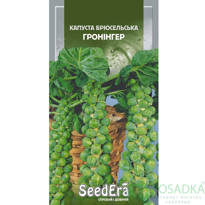 картинка Семена Капуста Брюссельская Гронингер 0,5г, Seedera 