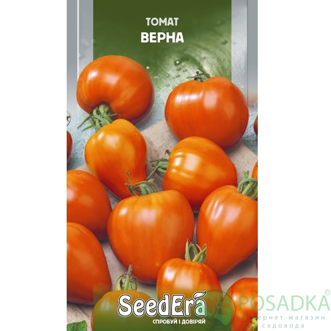 картинка Семена Томат Верна 0.1гр, SeedEra 