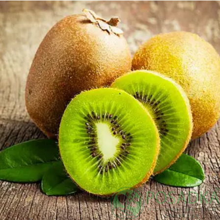 картинка Киви Соло 2 года (самоплодный, урожайный) С2 