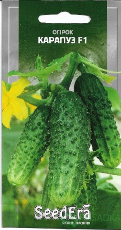 картинка Семена Огурец Карапуз F1 10шт, SeedEra 