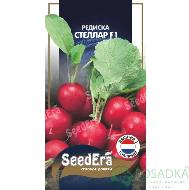 картинка Семена Редис Cтеллар  F1, 2 г,  Seedera Profi 
