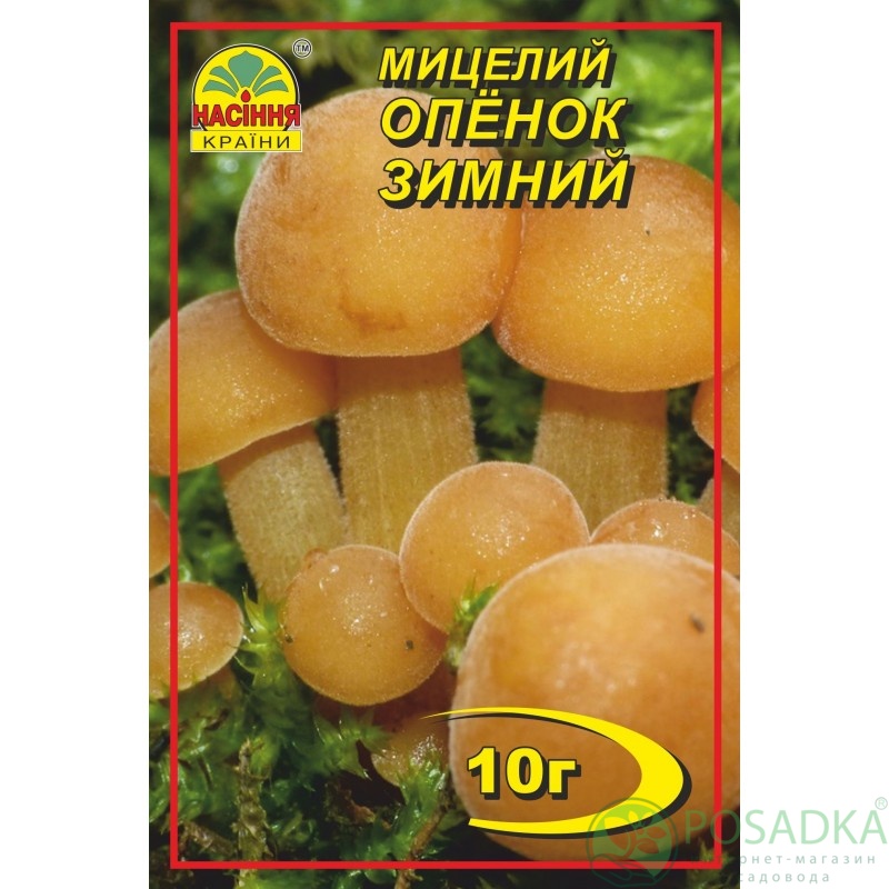 картинка Мицелий зерновой гриб Опёнок зимний 10 г 