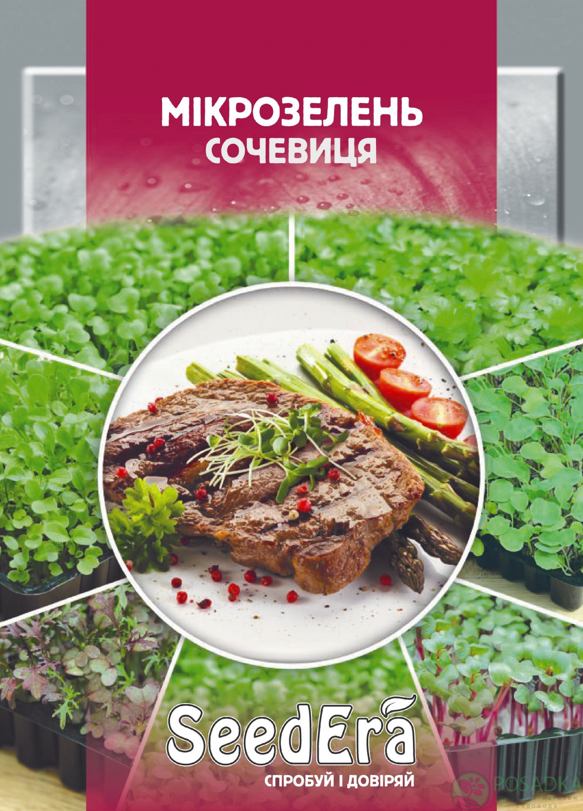 картинка Семена Микрозелень Сочевица (Чечевица) 10 гр, SeedЕra картинка Семена Микрозелень Сочевица (Чечевица) 10 гр, SeedЕra