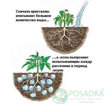 картинка Гидрогель, мелкая фракция, 1 кг 