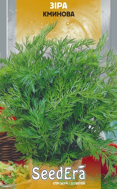 картинка Семена Зира (кумин) 0,5 г, Seedеra 