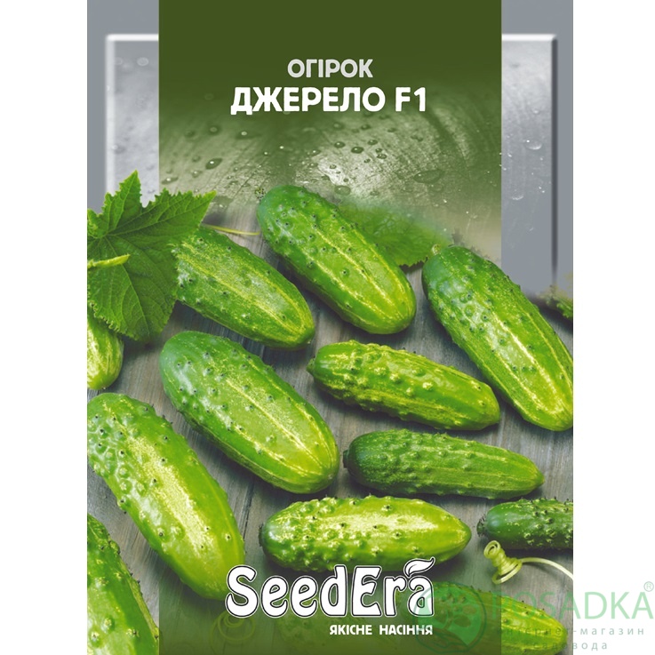 картинка Семена Огурец Джерело, 10 г, SeedEra 