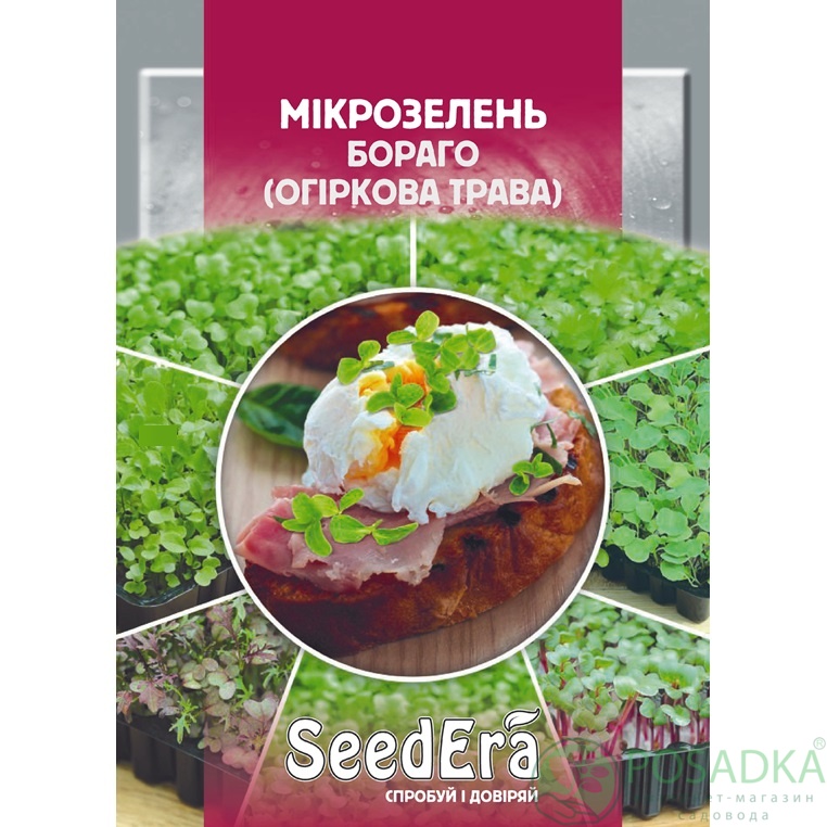 картинка Семена Микрозелень Бораго (Огуречная трава) 10 г, SeedEra 