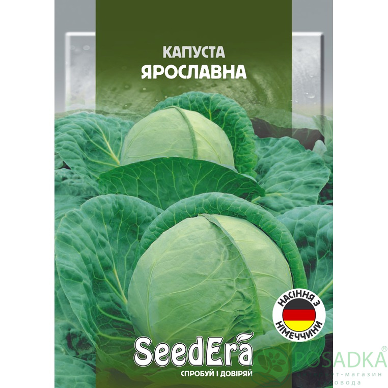 картинка Семена Капуста Белоголовая Ярославна, 1г, SeedEra 