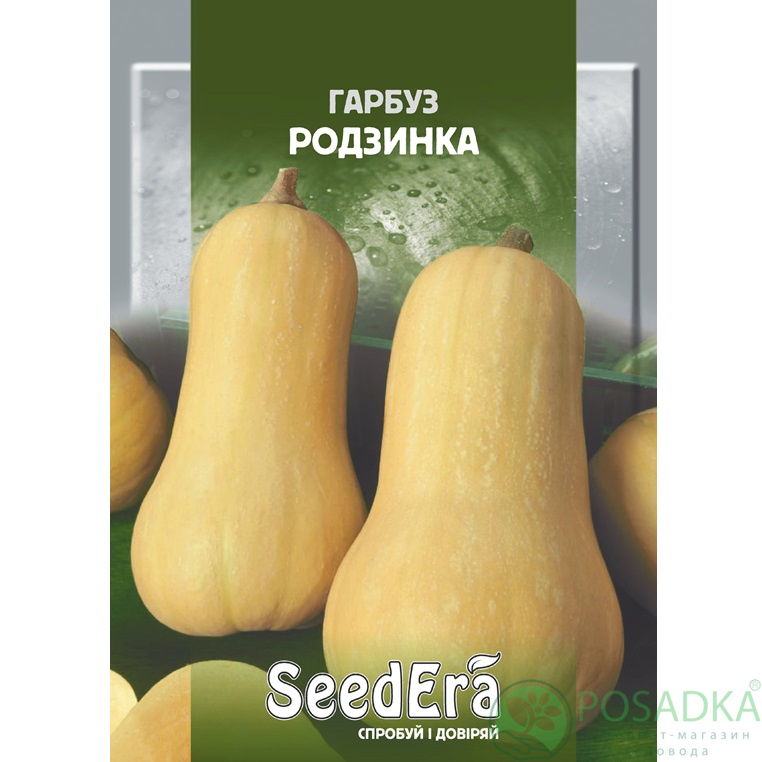 картинка Семена Тыква Изюминка 20 г, Seedera 