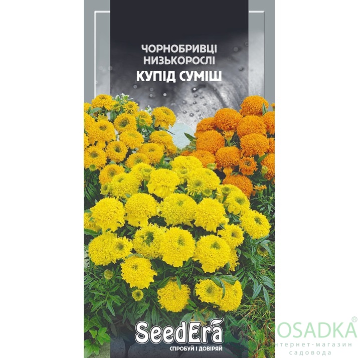 картинка Семена Бархатцы Низкорослые Купид Смесь 0,1г, Seedera 