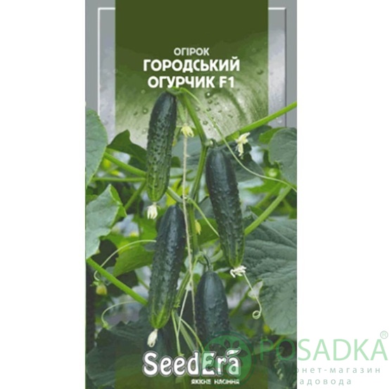 картинка Семена Огурец Городской огурец F1 10 шт Seedera 