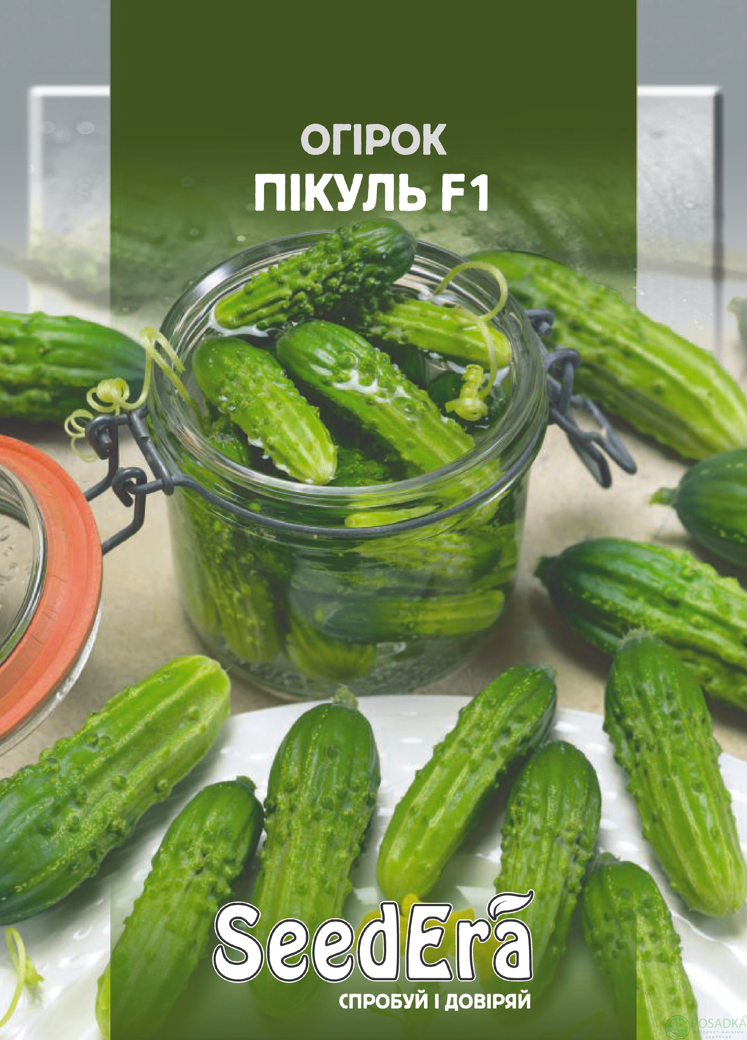 картинка Семена Огурец Пикуль F1 0,5гр, SeedEra картинка Семена Огурец Пикуль F1 0,5гр, SeedEra