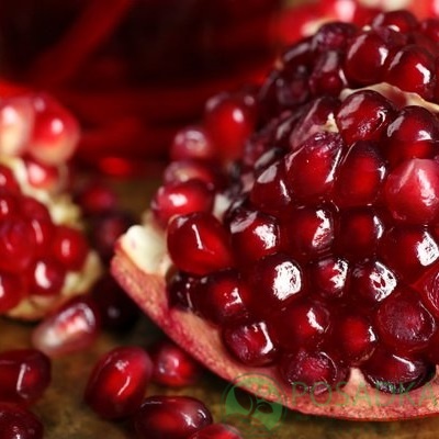 картинка Гранат Шароли 