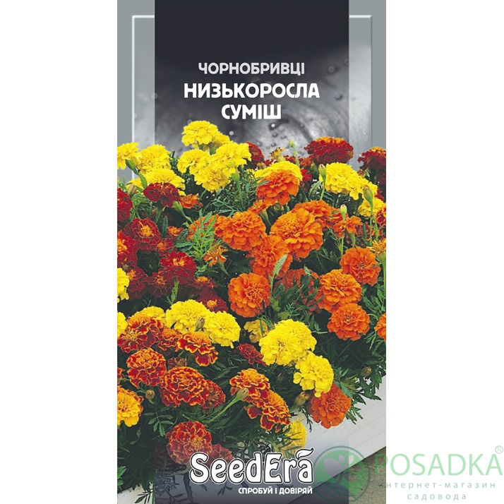 картинка Бархатцы Отклоненные Низкорослая Смесь, 0,5 г, SeedEra картинка Бархатцы Отклоненные Низкорослая Смесь, 0,5 г, SeedEra