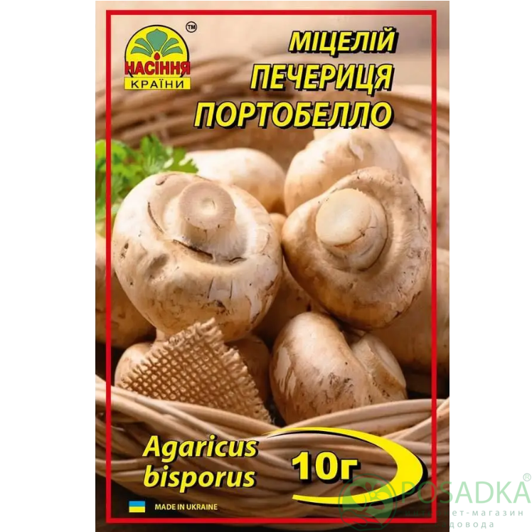 картинка Мицелий зерновой гриб шампиньон Портобелло 