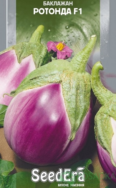 картинка Семена Баклажан Ротонда F1, 0.3 г, SeedEra 