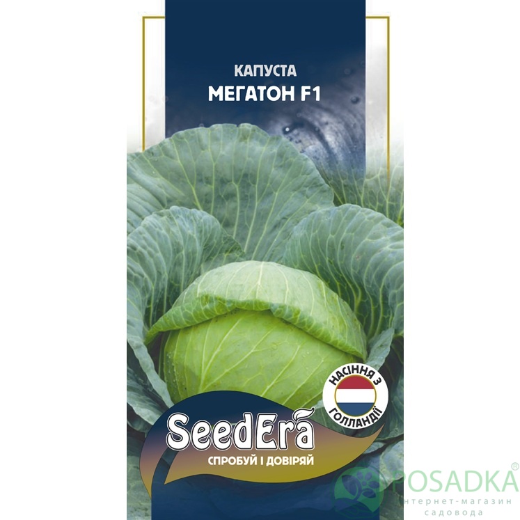 картинка Семена Капуста белоголовая Мегатон F1, 20 шт Seedera Profi 