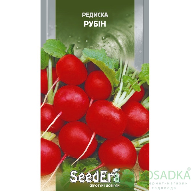 картинка Семена редис Рубин 20г, SeedEra 