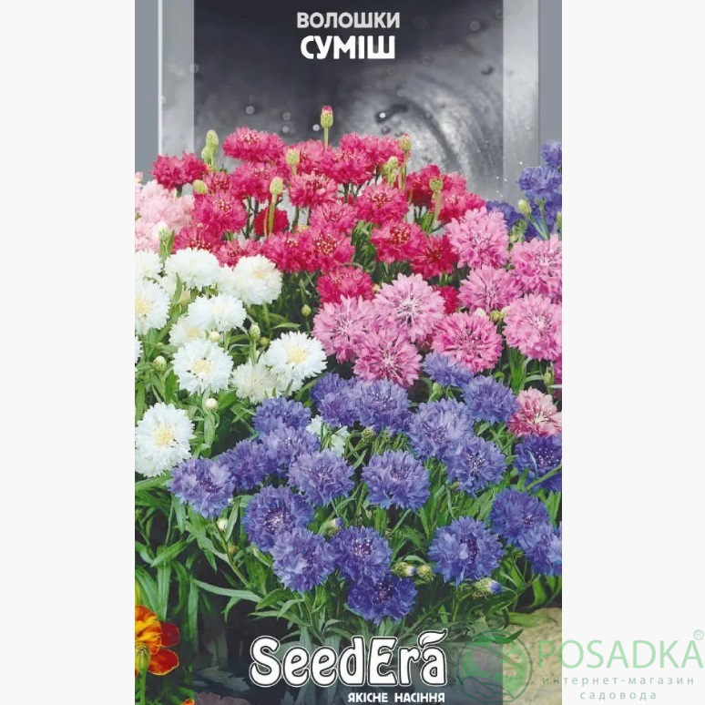 картинка Семена василька полевые смесь 0,5 г, Seedera 