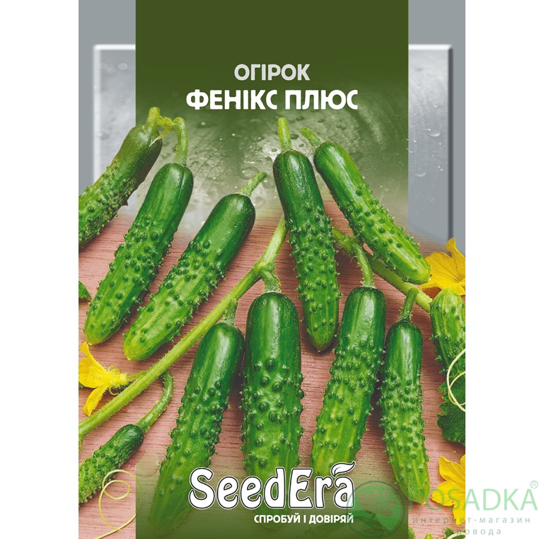 картинка Семена Огурец Феникс Плюс 20 г, SeedEra 