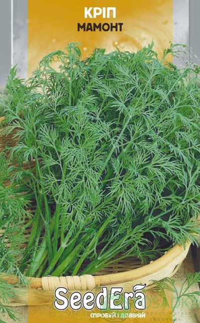 картинка Семена Укроп Мамонт 3 г, Seedera 