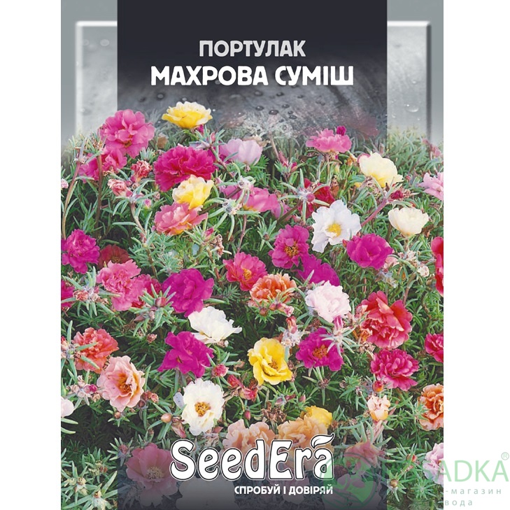 картинка Семена Портулак Махровая Смесь 0,1 г, Seedera 