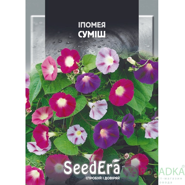 картинка Семена ипомея смесь 1 г, SeedEra картинка Семена ипомея смесь 1 г, SeedEra