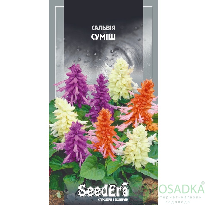 картинка Семена Сальвия Блестящая Смесь 0,2 г, Seedera картинка Семена Сальвия Блестящая Смесь 0,2 г, Seedera