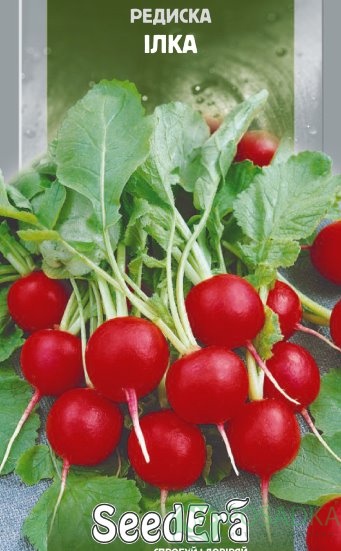 картинка Семена Редис Илка 2гр, SeedEra 