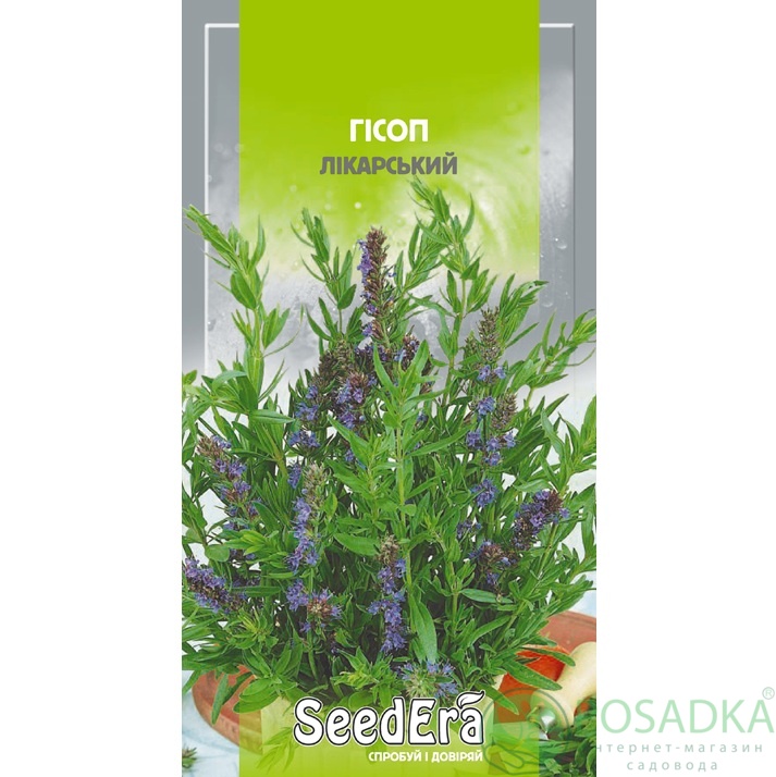 картинка Семена Лекарственный Иссоп Лекарственный, 0,3 г, Seedera 