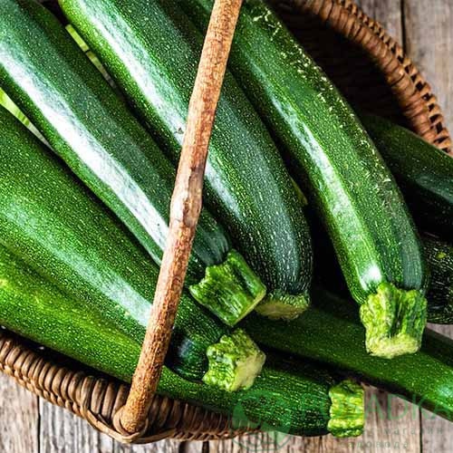 картинка Семена кабачок Скворушка 20 г, Seedera 