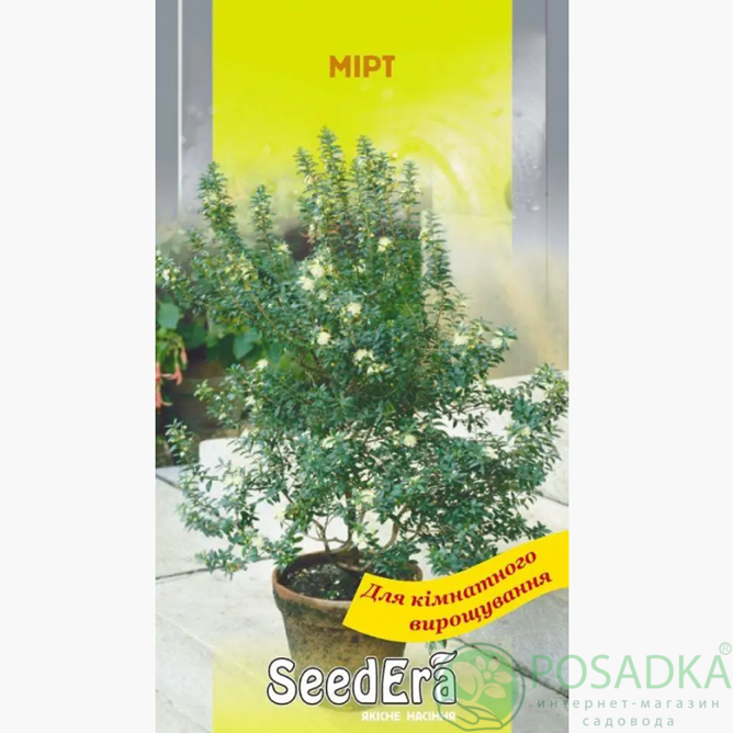 картинка Семена Мирт 5 шт, Seedera  картинка Семена Мирт 5 шт, Seedera
