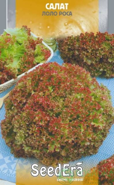 картинка Семена салат Лолло роса (листовой, к/зеленый), 1 гр, SeedEra 