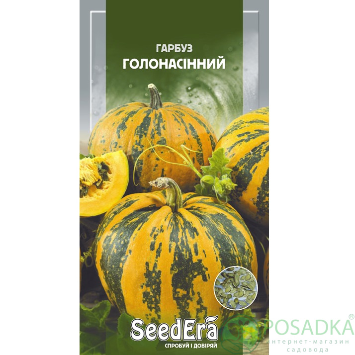 картинка Семена тыквы Голосемянная, 3 г, Seedera 